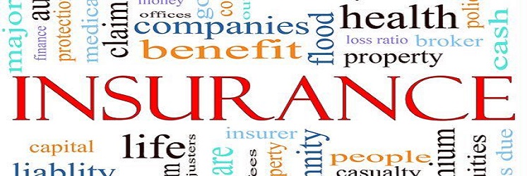 Health Insurance Providers