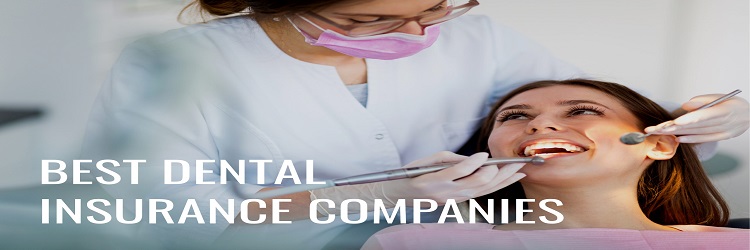 Best Dental Insurance in 2020