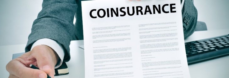 What is Coinsurance
